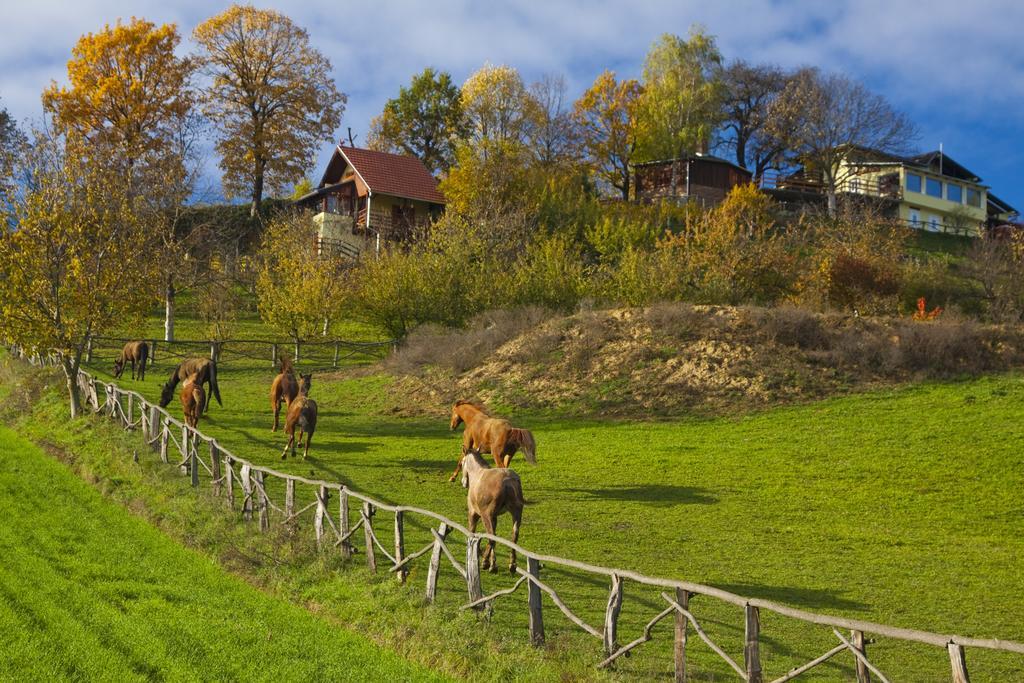 Country House Na Malenom Brijegu Bjelovar Chambre photo