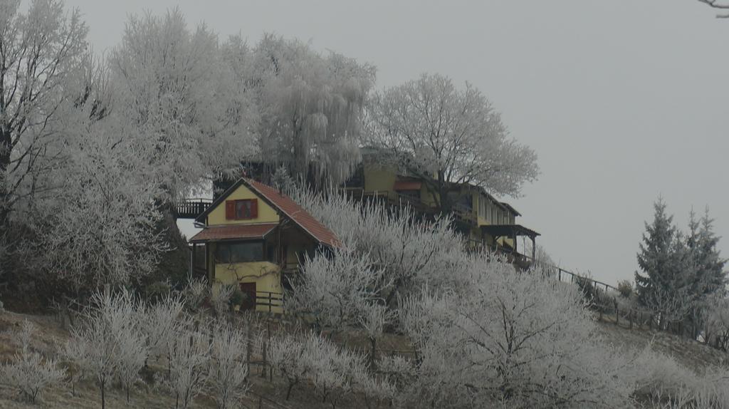 Country House Na Malenom Brijegu Bjelovar Extérieur photo